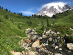 Summertime in WA – Part 3 Mount Rainier National Park